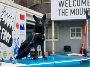 2025.5.31　初　ハンターマウンテンで開催のドッグフェス参加してきました