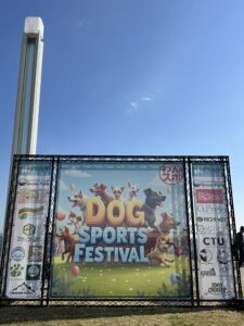 11月15・16日　ドッグスポーツフェスティバルin横浜臨港パークに参加しました！